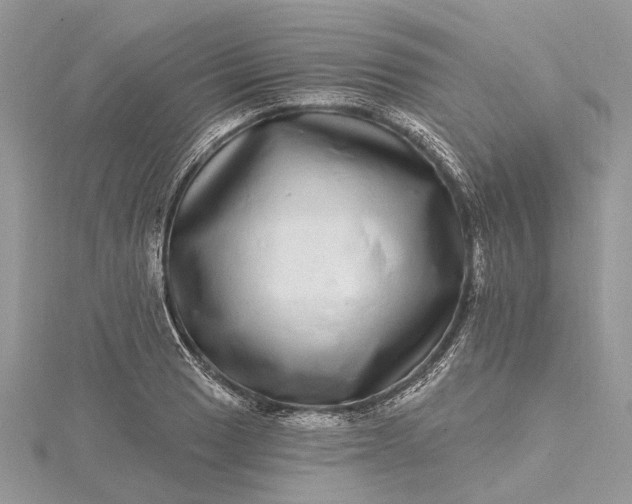 X0000115521033200911201655