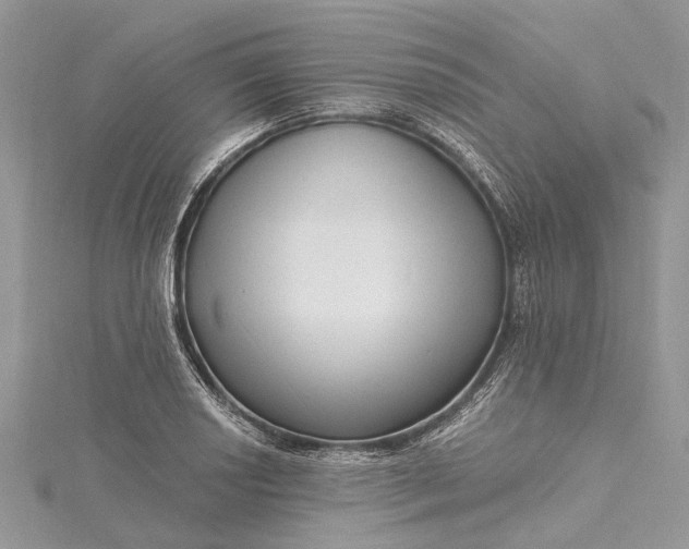 X0000115521034200911201655