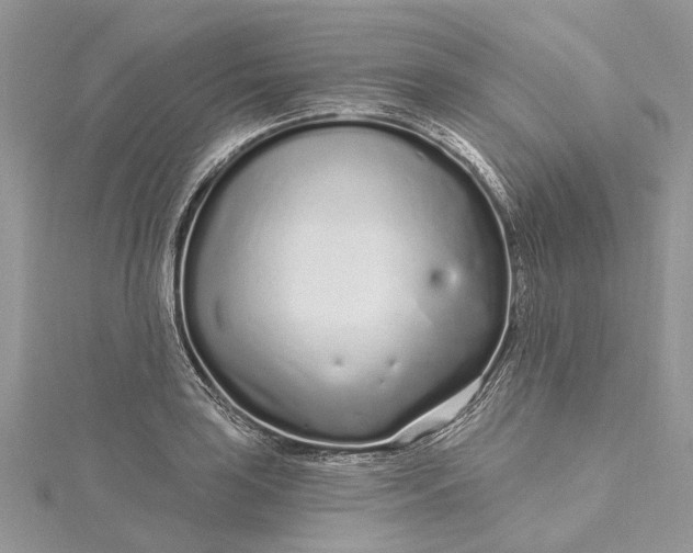 X0000115521035200911201655