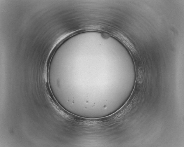 X0000115521036200911201655