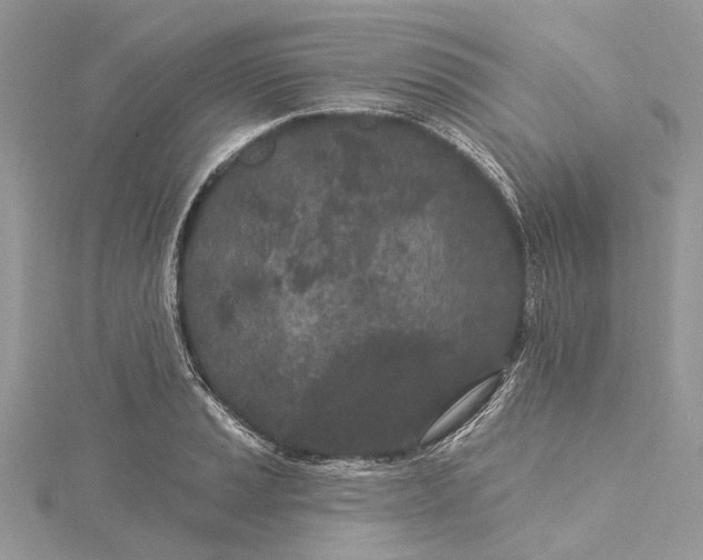 X0000115521037200911201655