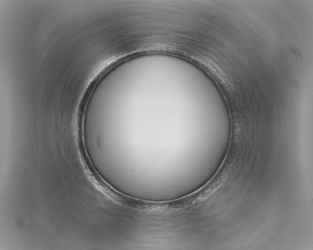 X0000115521038200911201655