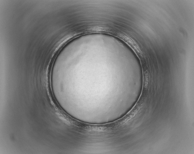 X0000115521039200911201655