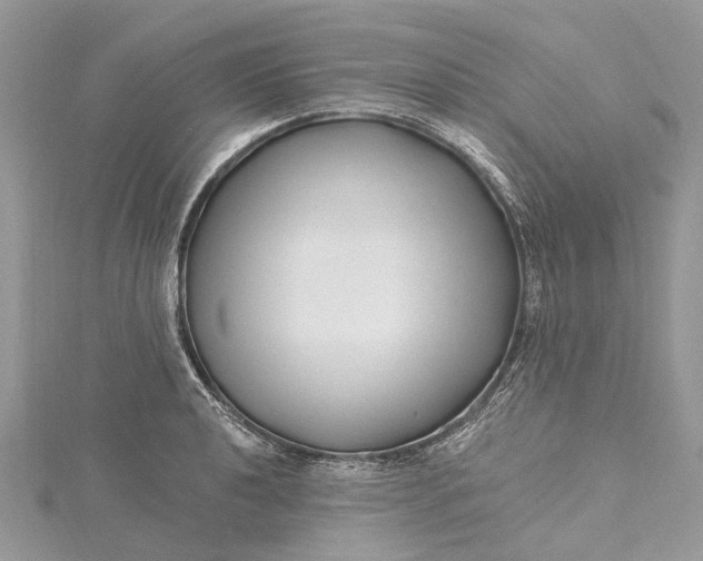 X0000115521040200911201655