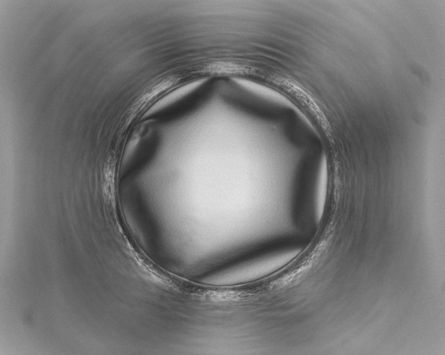 X0000115521041200911201655