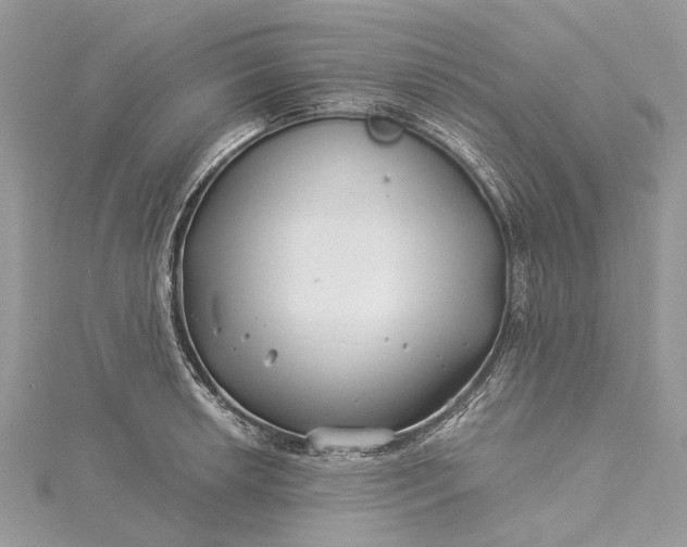 X0000115521042200911201655