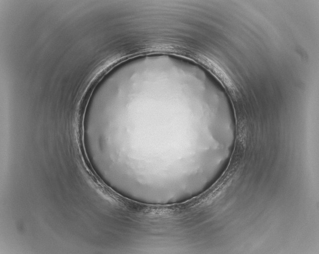 X0000115521043200911201655