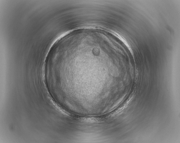 X0000115521045200911201655