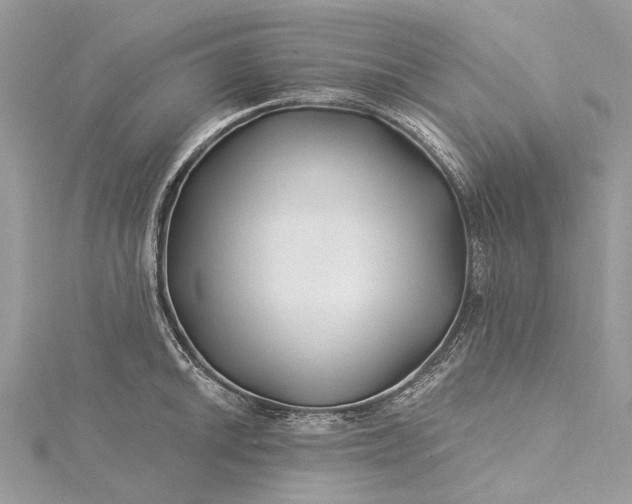 X0000115521046200911201655