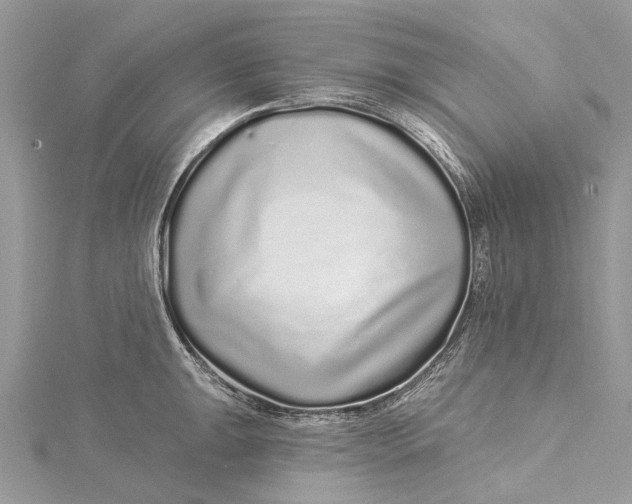 X0000115521047200911201655