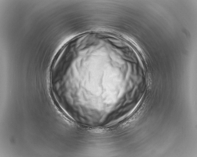 X0000115521048200911201655