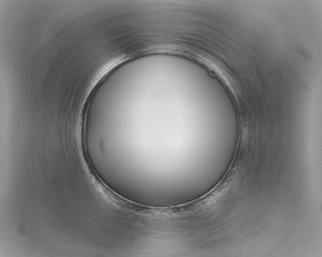 X0000115521050200911201655