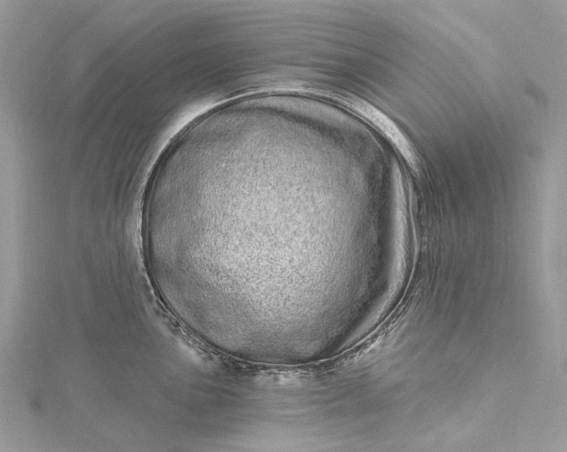 X0000115521051200911201655