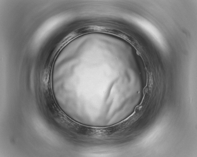 X0000115521052200911201655