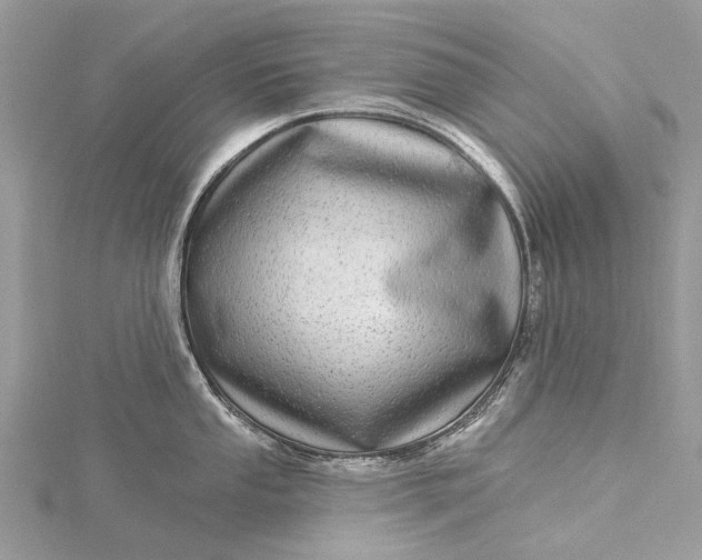 X0000115521053200911201655