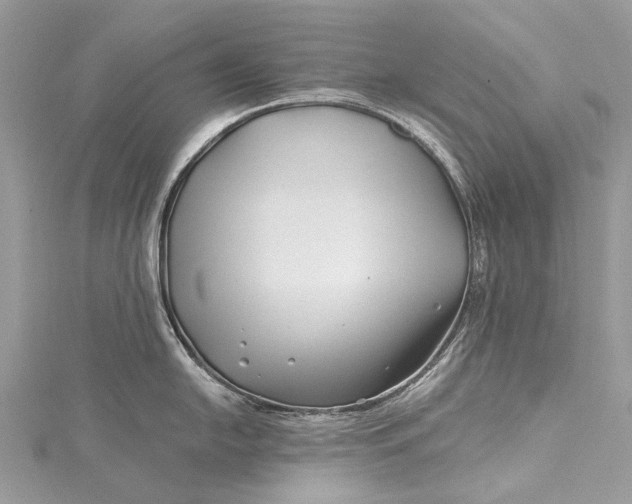 X0000115521054200911201655