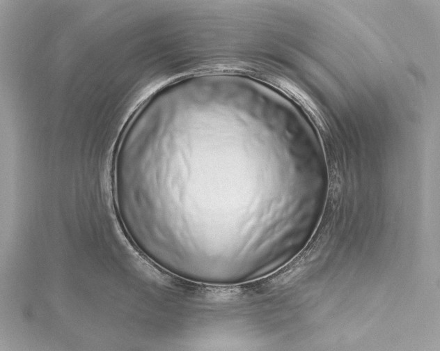 X0000115521055200911201655