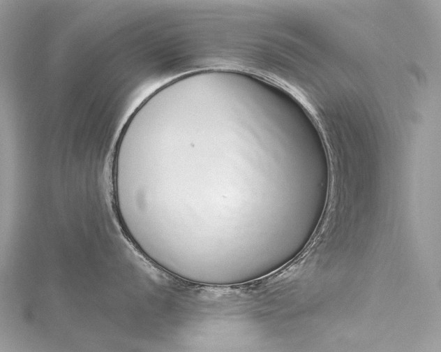 X0000115521056200911201655