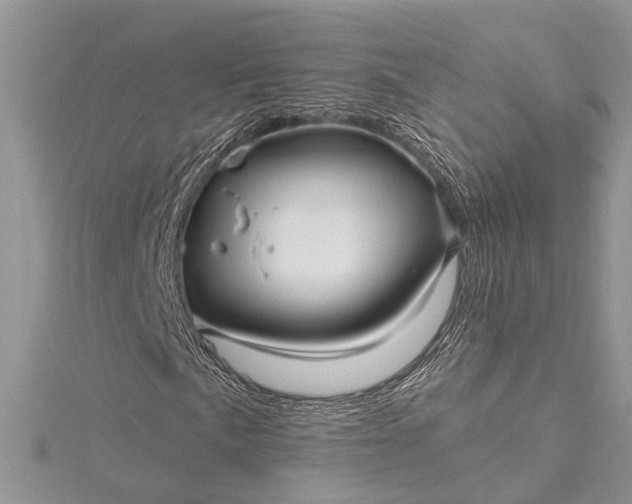 X0000115521057200911201654