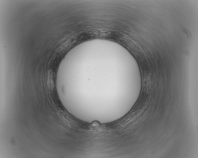 X0000115521058200911201654