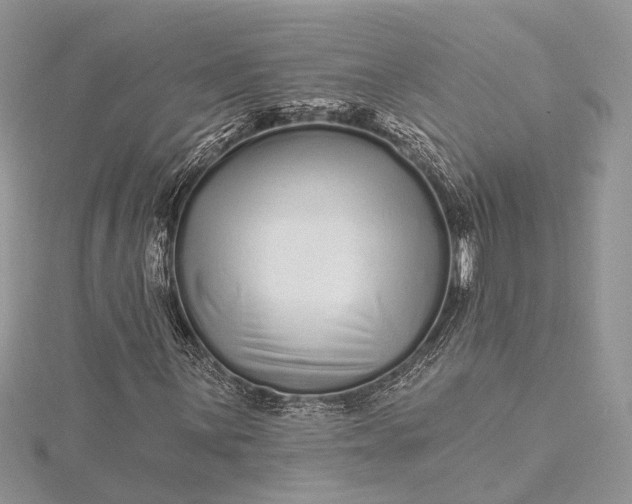 X0000115521059200911201654