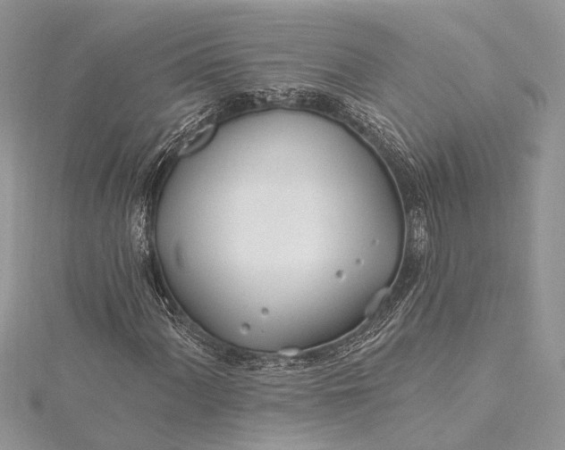 X0000115521060200911201654