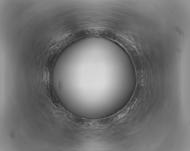 X0000115521061200911201654