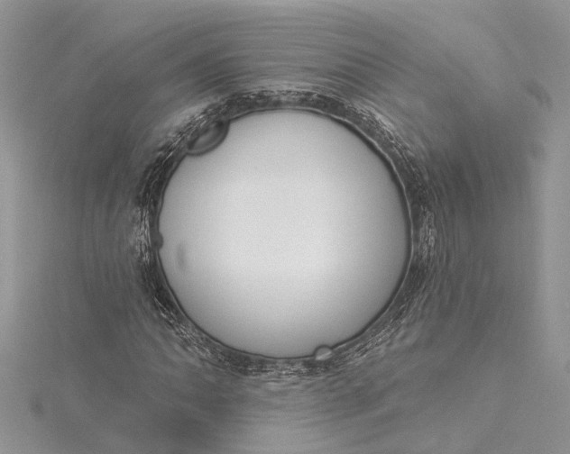 X0000115521062200911201654