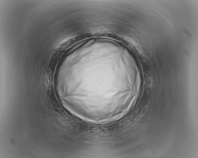 X0000115521063200911201654