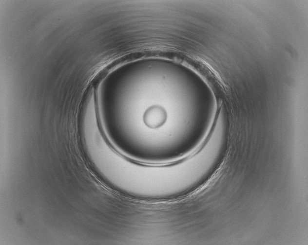 X0000115521065200911201654