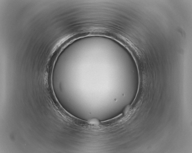 X0000115521066200911201654