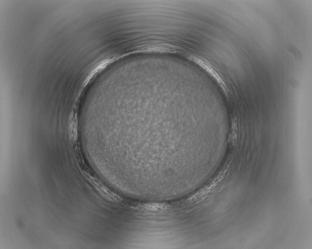 X0000115521067200911201654