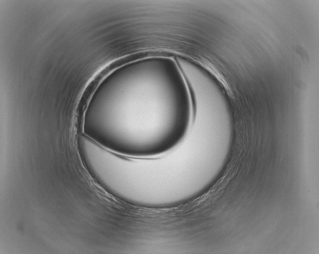 X0000115521068200911201654