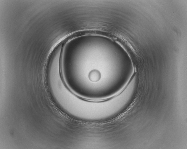 X0000115521069200911201654