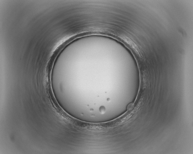 X0000115521070200911201654