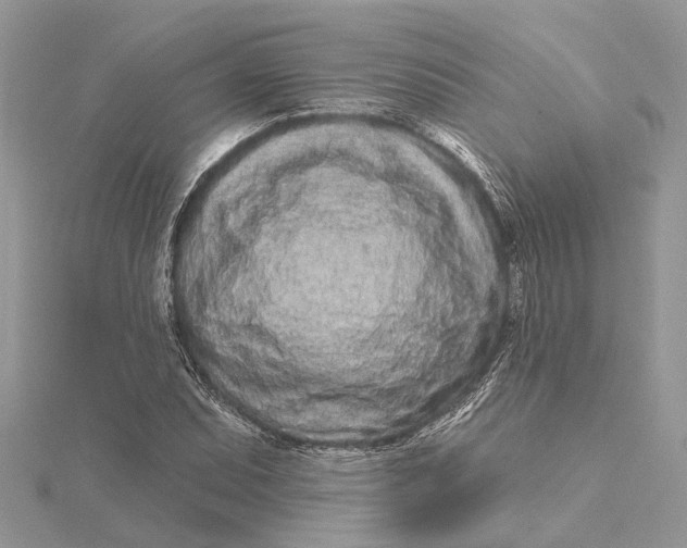 X0000115521071200911201654