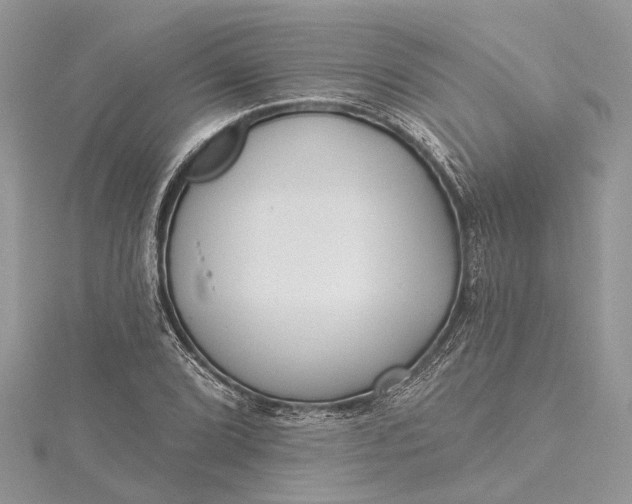 X0000115521072200911201654