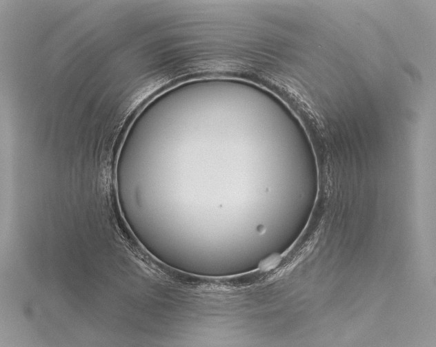 X0000115521073200911201654