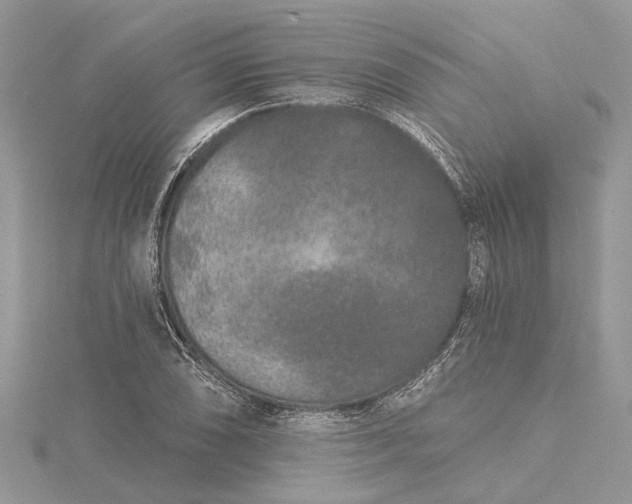 X0000115521074200911201654