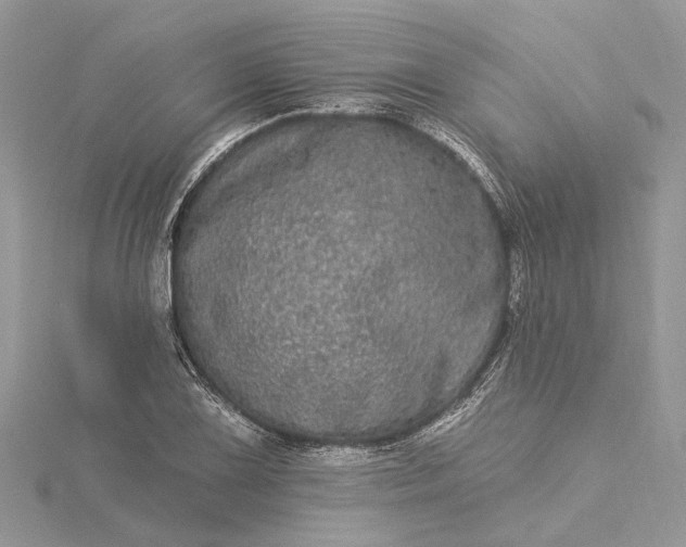 X0000115521075200911201654