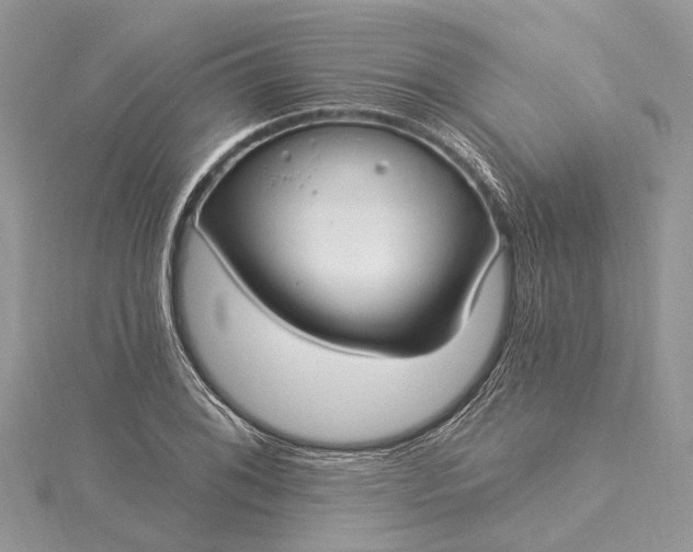 X0000115521076200911201654