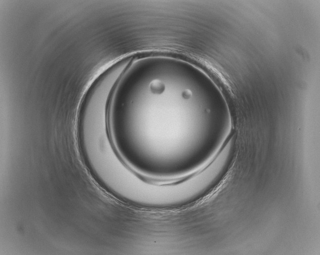 X0000115521077200911201654