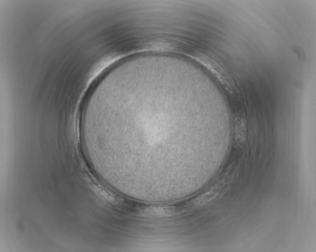 X0000115521078200911201654