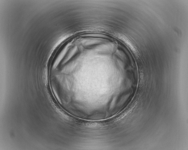 X0000115521079200911201654