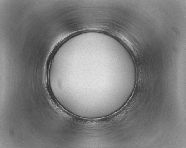 X0000115521080200911201654