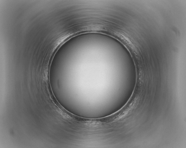 X0000115521081200911201654