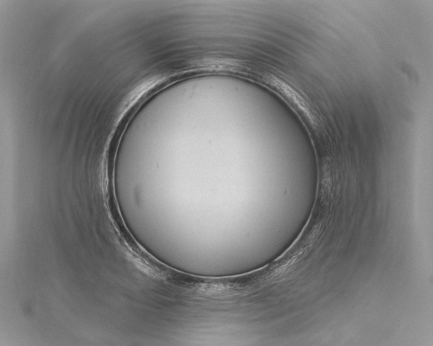 X0000115521082200911201654