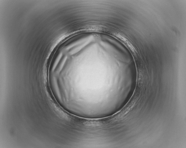 X0000115521083200911201654