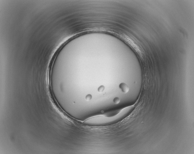 X0000115521084200911201654