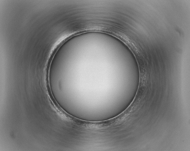 X0000115521086200911201654